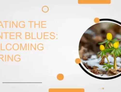 Beating the Winter Blues: Welcoming Spring and Reconnecting with Ourselves