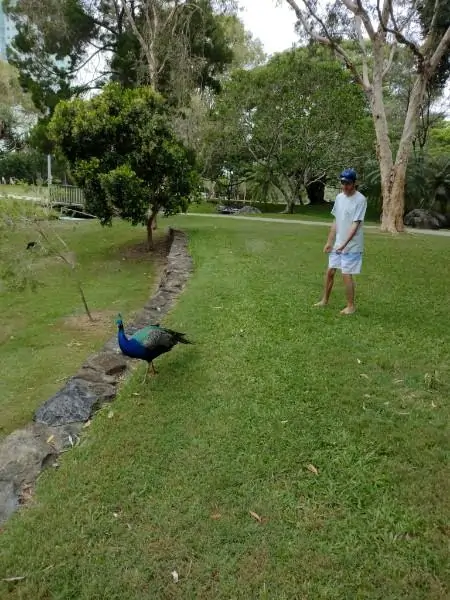 Bevan participating in a supported community walk to build confidence and independence